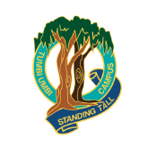 Picture for category TUMBI